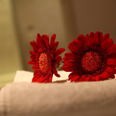 De Witte Hoeve 酒店