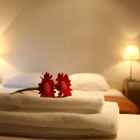 De Witte Hoeve 3* 벤레이