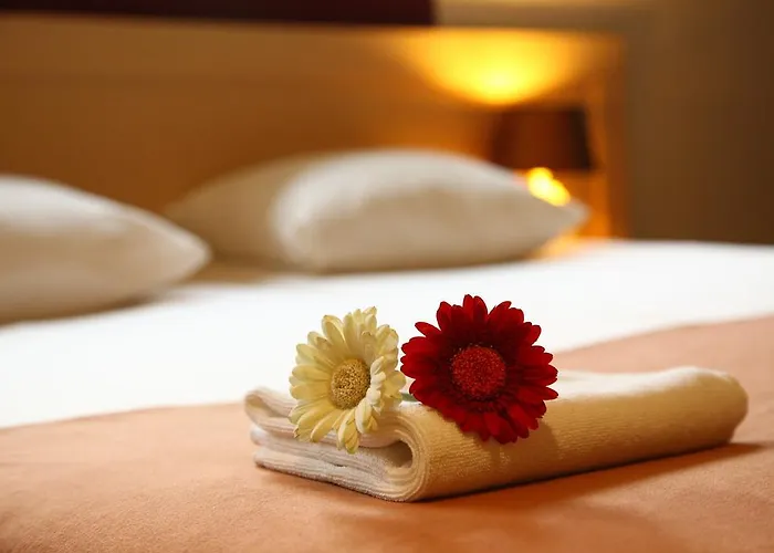 De Witte Hoeve Hotel Venray