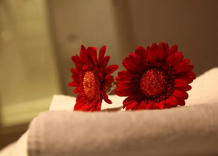 De Witte Hoeve فندق